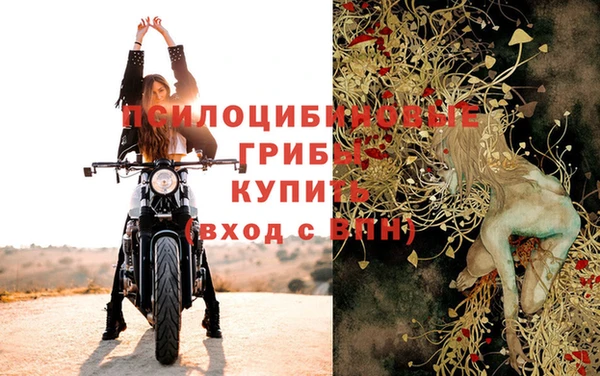 ПСИЛОЦИБИНОВЫЕ ГРИБЫ Кинешма