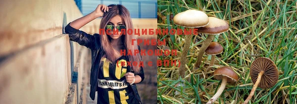 ПСИЛОЦИБИНОВЫЕ ГРИБЫ Кинешма