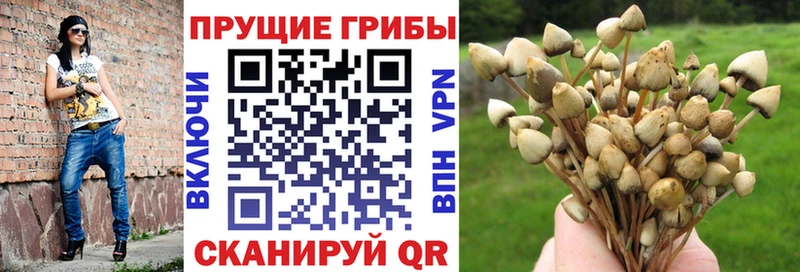 Купить где  Гусиноозёрск  Галлюциногенные грибы ЛСД 