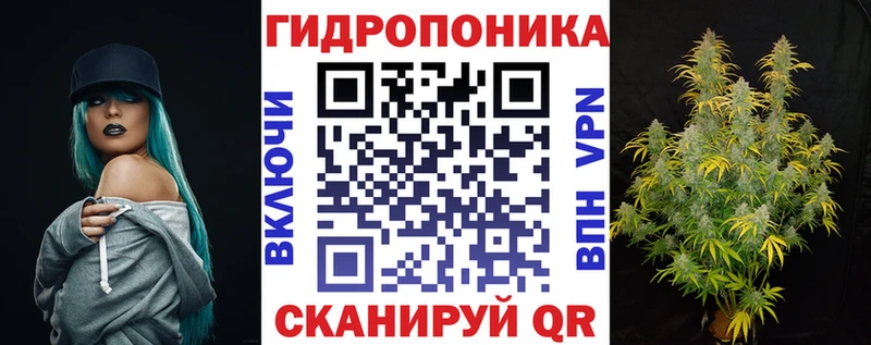 Конопля планчик  Купить закладки  Гусиноозёрск 